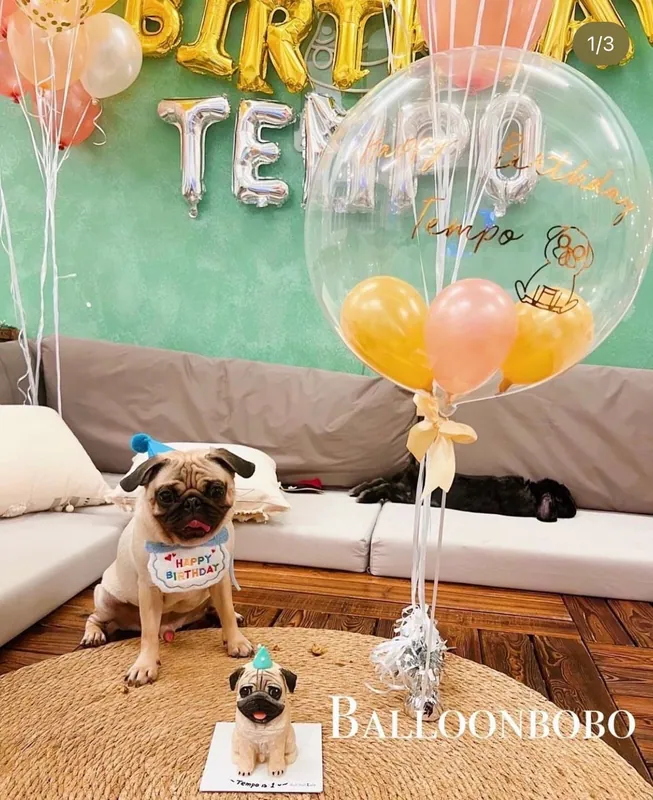 Pet birthday crystal balloon set